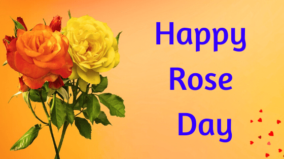 happy rose day wishes images